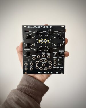CAPRI (DIY KIT)